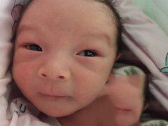 染色体易位代妈成功植入两个健康胚胎